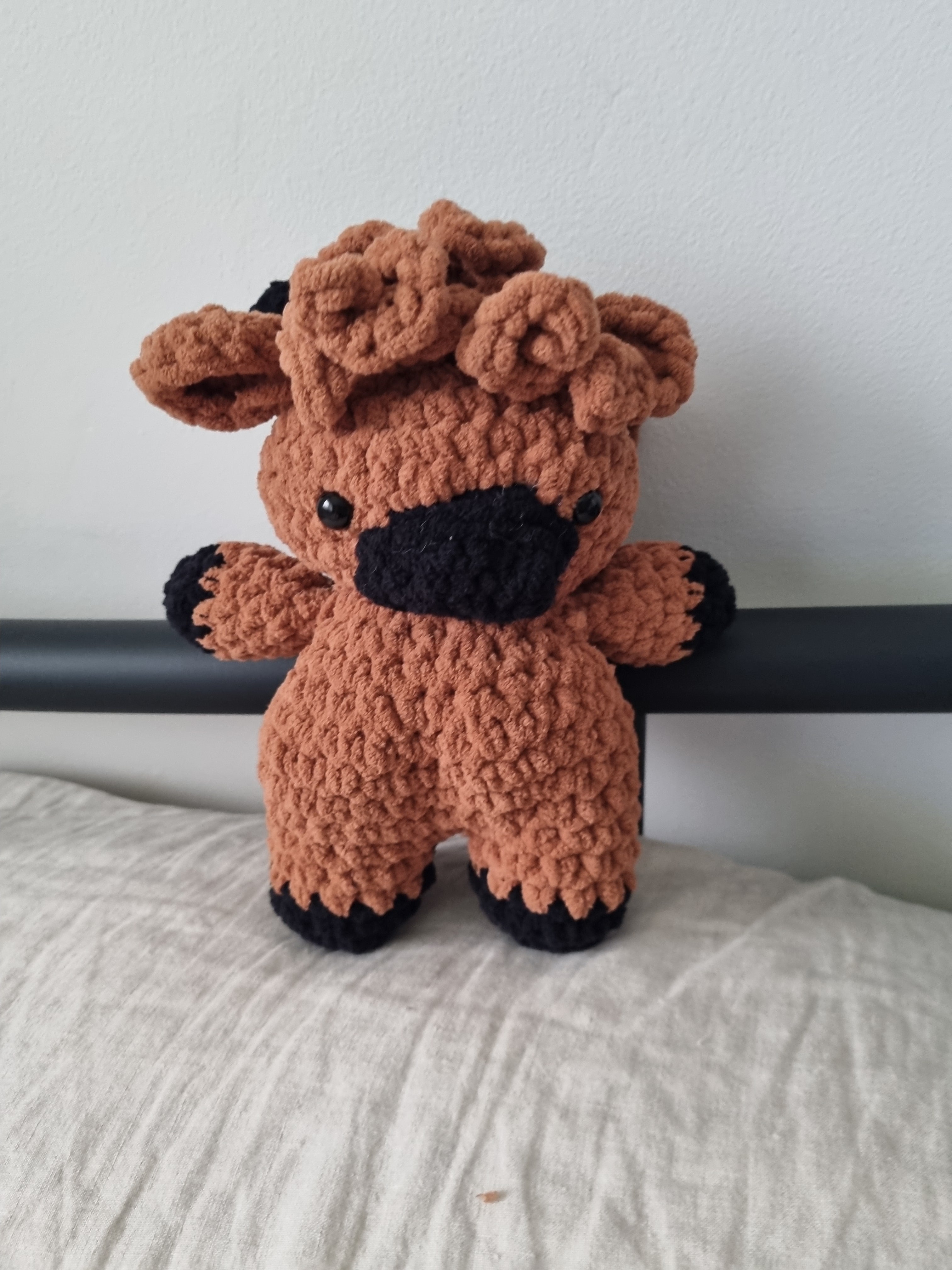Highland Cow
