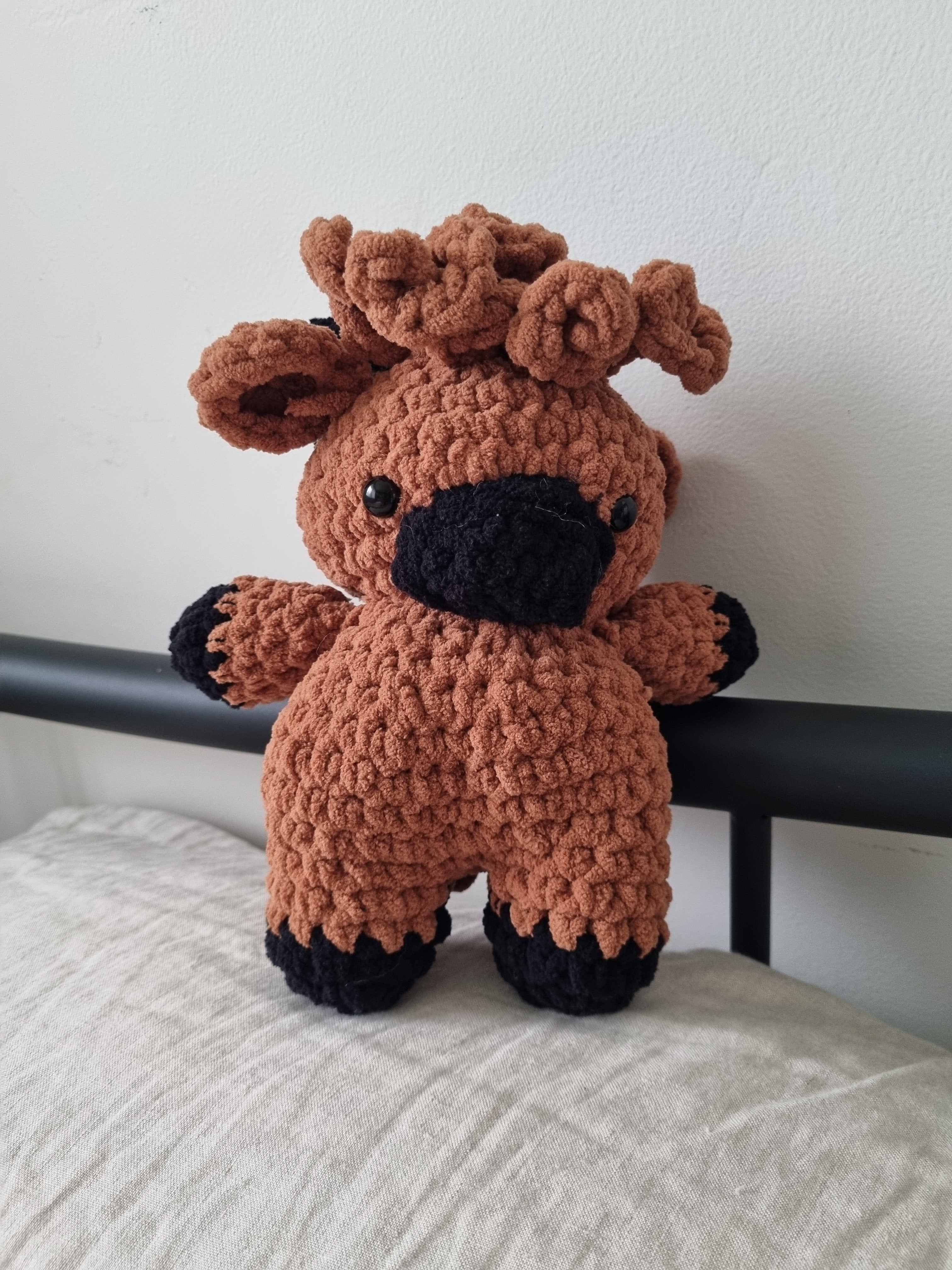 Highland Cow