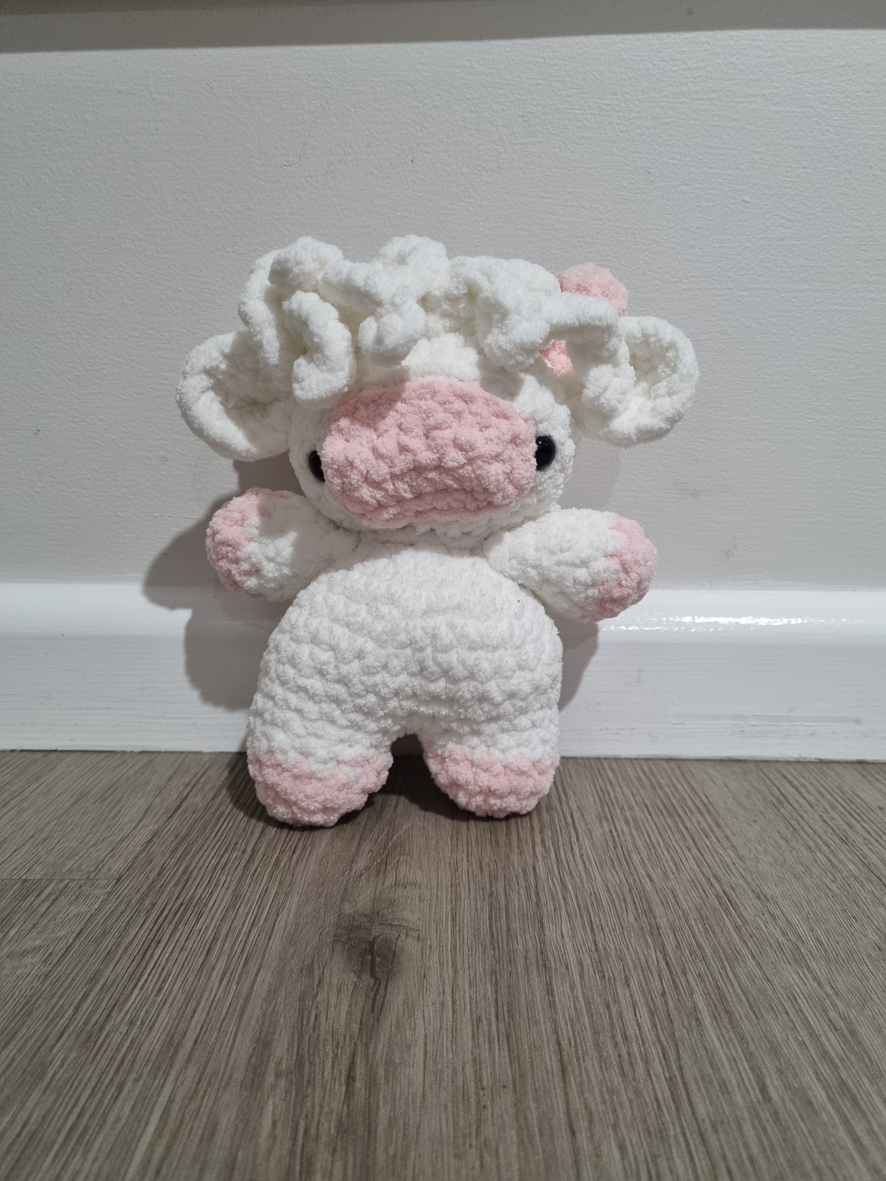 Highland Cow