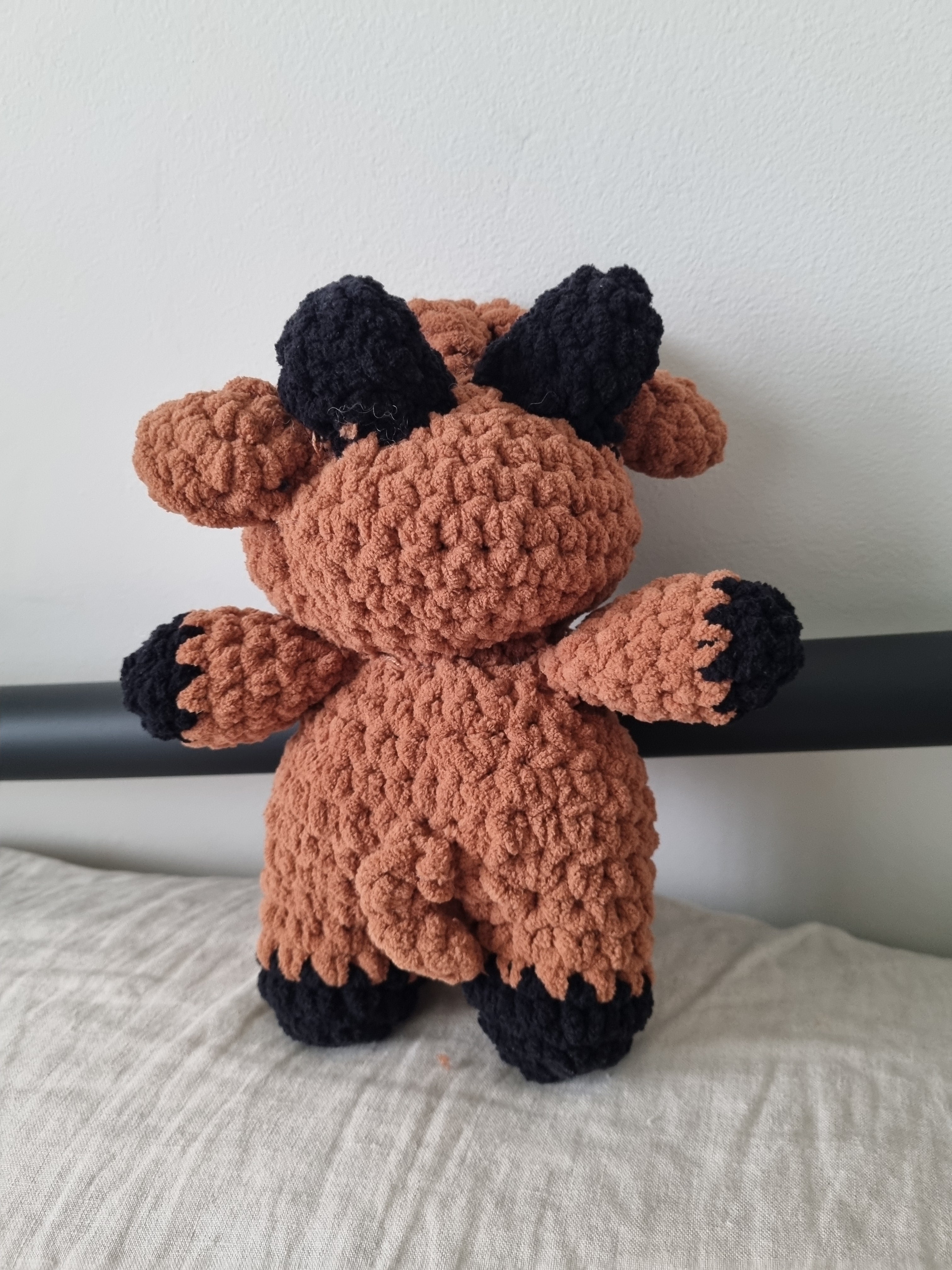 Highland Cow